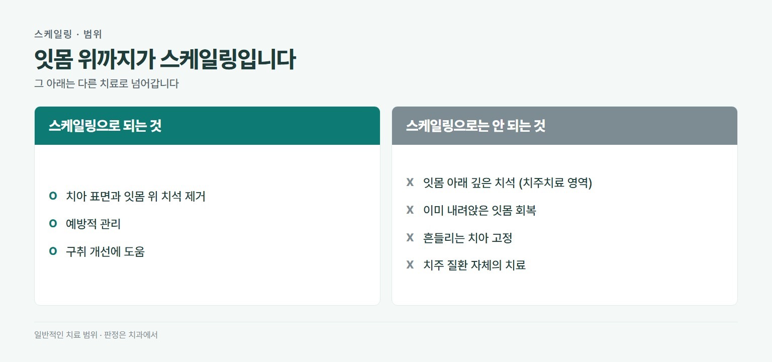 스케일링으로 되는 것과 안 되는 것. 되는 것은 치아 표면과 잇몸 위 치석 제거, 예방적 관리, 구취 개선에 도움. 안 되는 것은 잇몸 아래 깊은 치석, 이미 내려앉은 잇몸 회복, 흔들리는 치아 고정, 치주 질환 자체의 치료