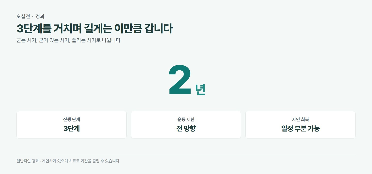 오십견 회복 기간 최대 2년. 3단계로 진행되며 전 방향 운동 제한, 팔을 60도 이상 올리기 어려움, 시간이 지나면 일정 부분 자연 회복