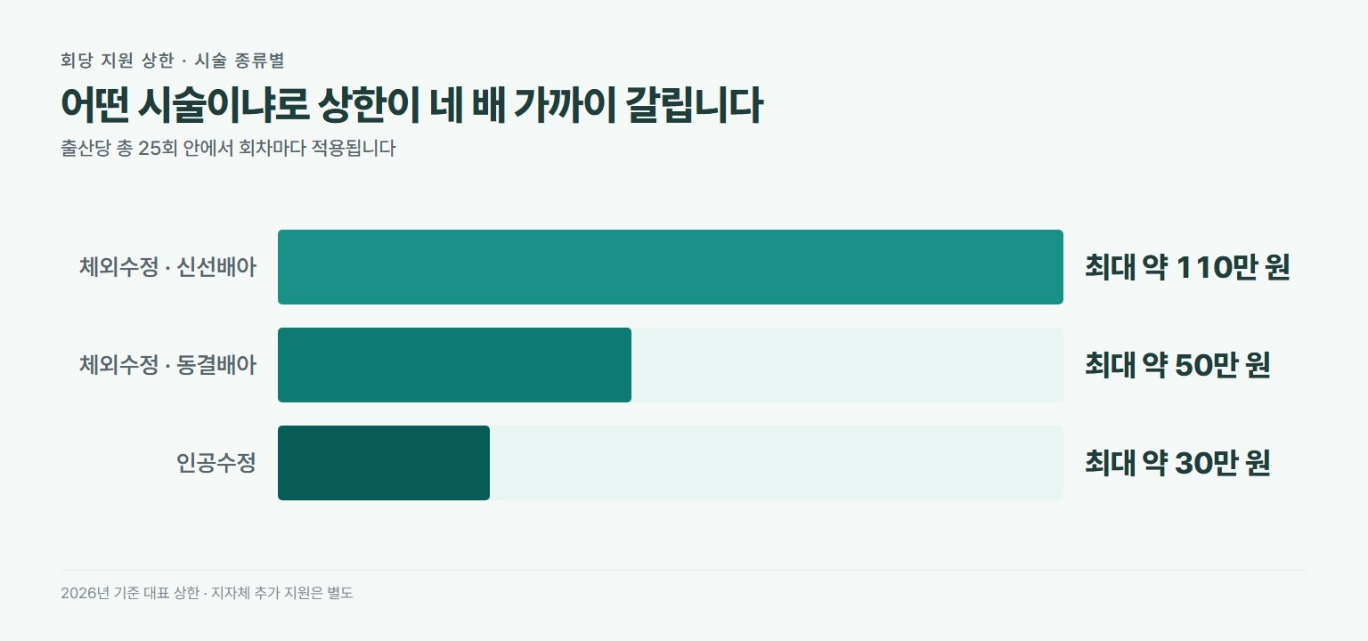 난임 시술비 회당 지원 상한. 체외수정 신선배아 최대 약 110만 원, 체외수정 동결배아 최대 약 50만 원, 인공수정 최대 약 30만 원