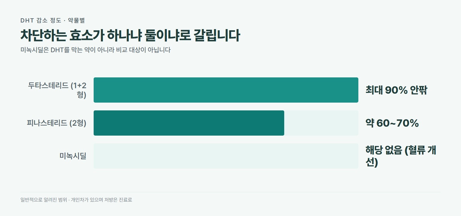 탈모약 DHT 감소 정도. 두타스테리드는 1형과 2형을 차단해 최대 90퍼센트 안팎, 피나스테리드는 2형을 차단해 약 60에서 70퍼센트, 미녹시딜은 DHT를 차단하지 않아 해당 없음