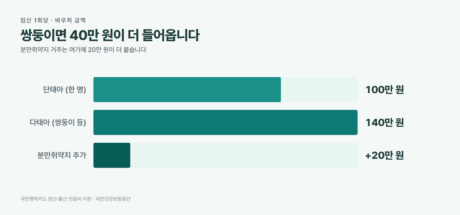 임신 출산 진료비 바우처 금액. 단태아 100만 원, 다태아 140만 원, 분만취약지 거주 시 추가 20만 원